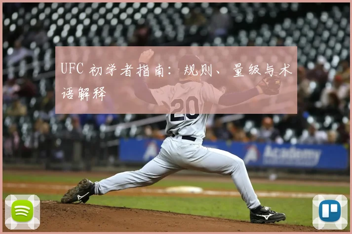 UFC 初学者指南：规则、量级与术语解释