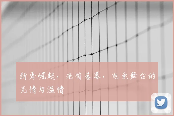 新秀崛起，老将落幕，电竞舞台的无情与温情