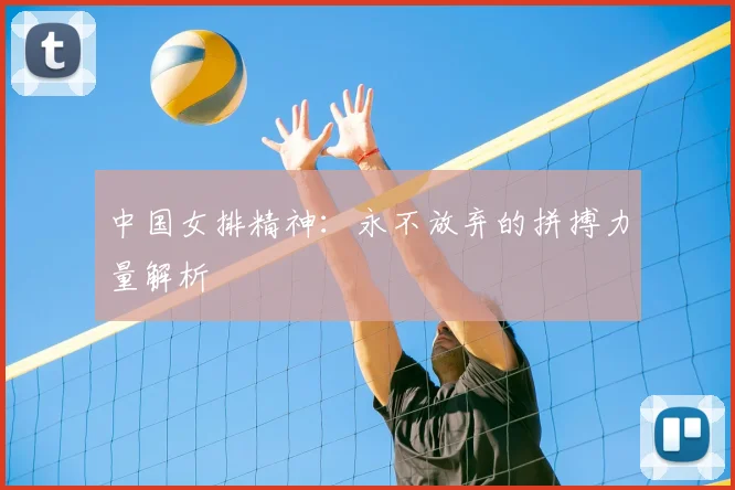 中国女排精神：永不放弃的拼搏力量解析