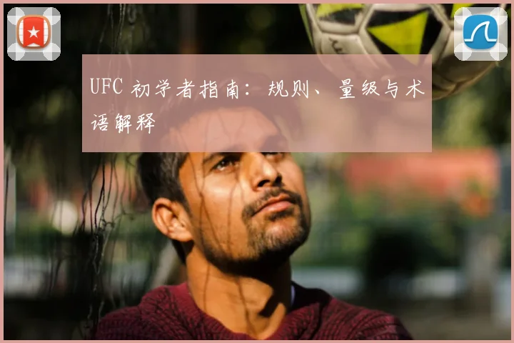UFC 初学者指南：规则、量级与术语解释