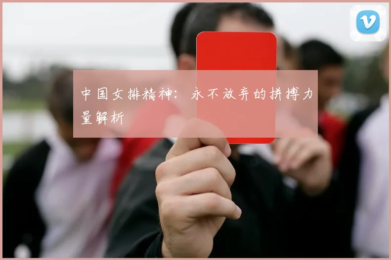 中国女排精神:永不放弃的拼搏力量解析