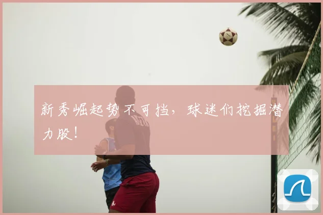 新秀崛起势不可挡，球迷们挖掘潜力股！